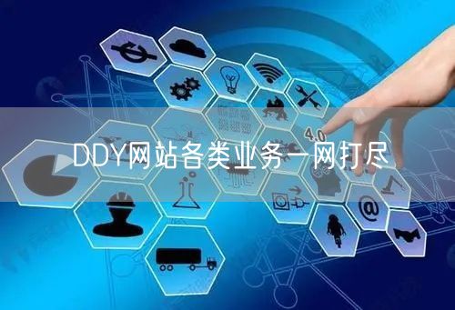 DDY网站各类业务一网打尽