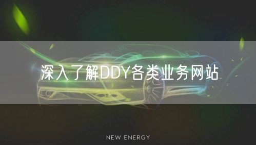 深入了解DDY各类业务网站