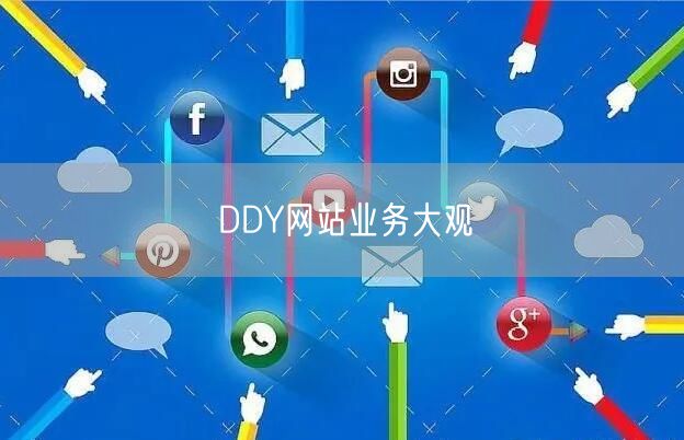 DDY网站业务大观