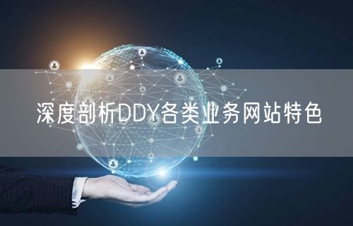 深度剖析DDY各类业务网站特色