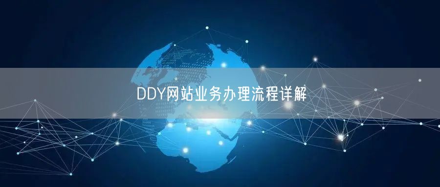 DDY网站业务办理流程详解