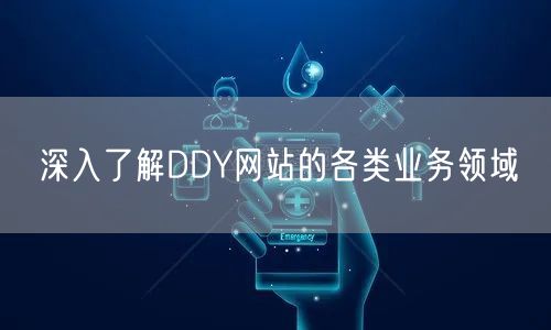 深入了解DDY网站的各类业务领域