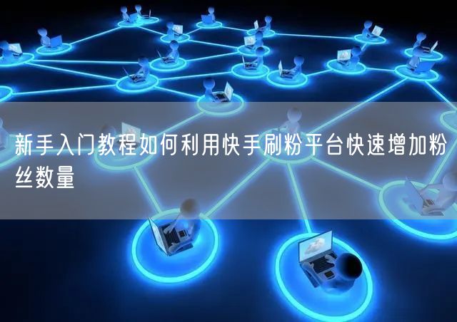 新手入门教程如何利用快手刷粉平台快速增加粉丝数量