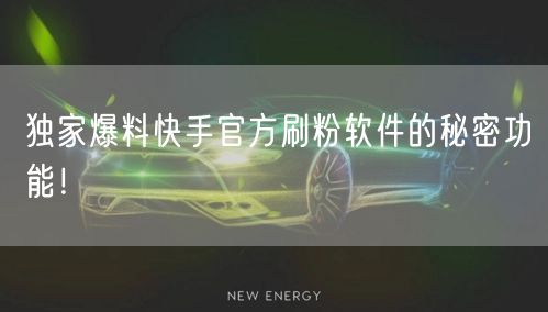 独家爆料快手官方刷粉软件的秘密功能！