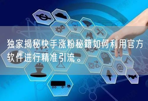 独家揭秘快手涨粉秘籍如何利用官方软件进行精准引流。