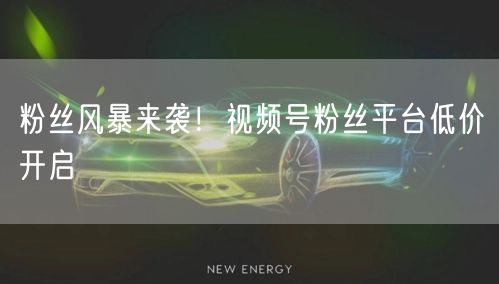 粉丝风暴来袭！视频号粉丝平台低价开启