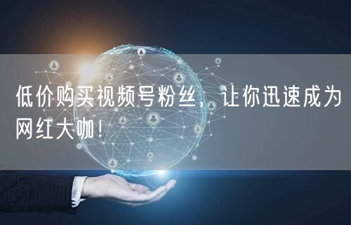 低价购买视频号粉丝，让你迅速成为网红大咖！